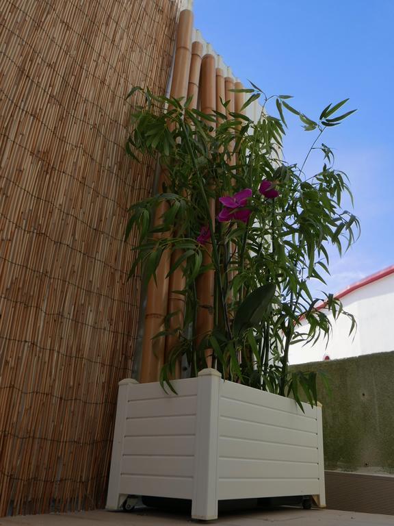 Villa Casa Do Cabeta à Nazaré Extérieur photo